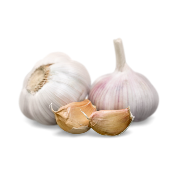 Untitled design (59)