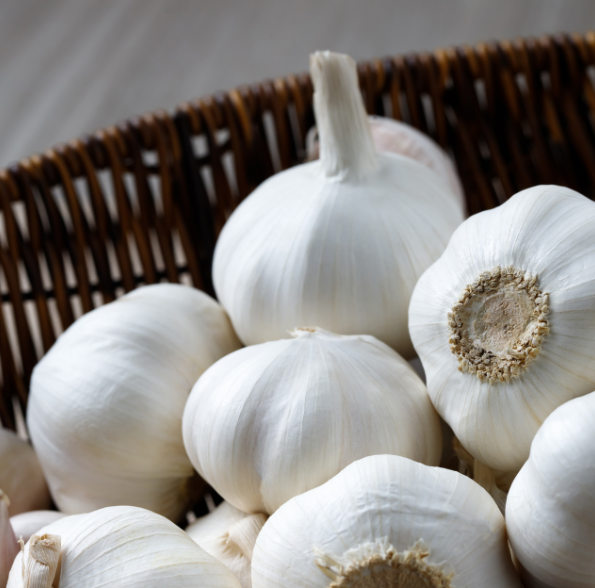 Untitled design (61)