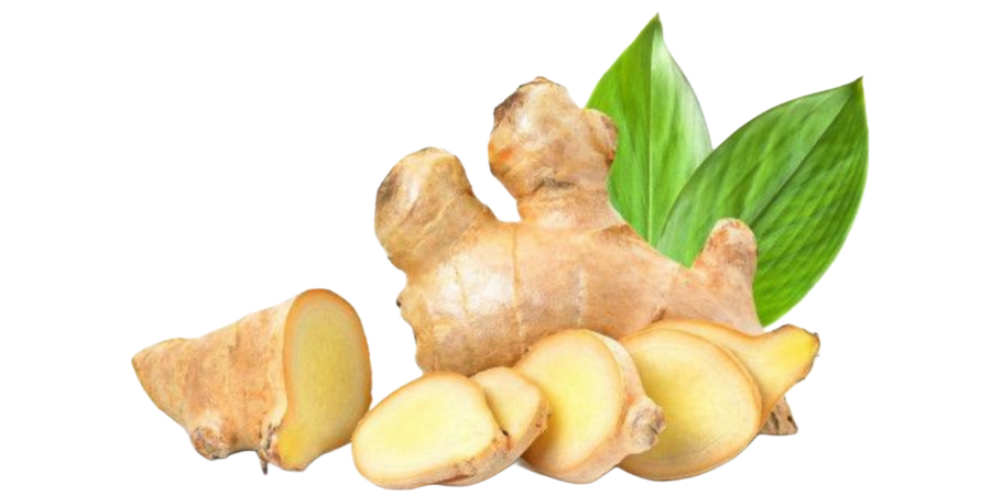 Untitled design (62)