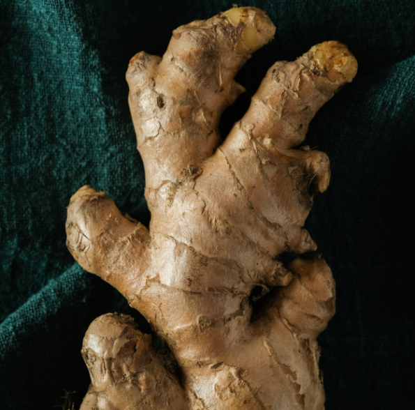 Untitled design (66)